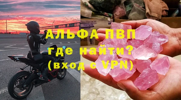 шишки Новозыбков