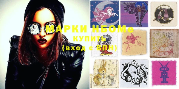 шишки Новозыбков